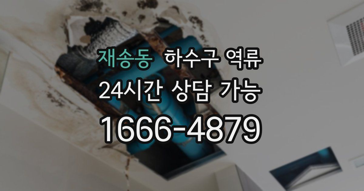 재송동 하수구 역류