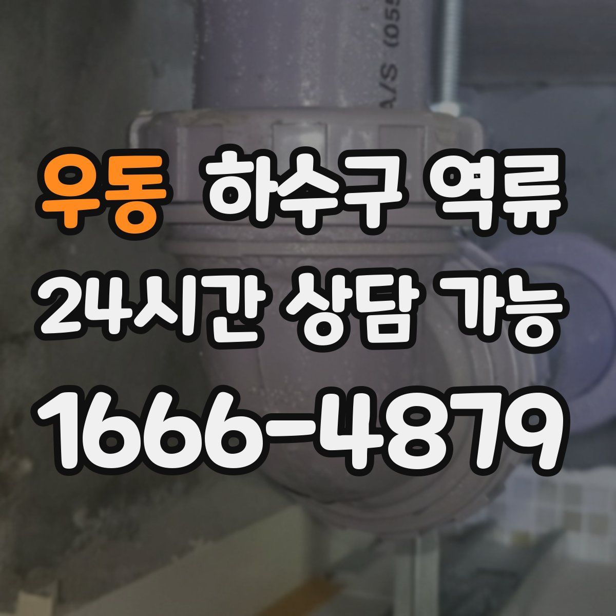 우동 하수구 역류