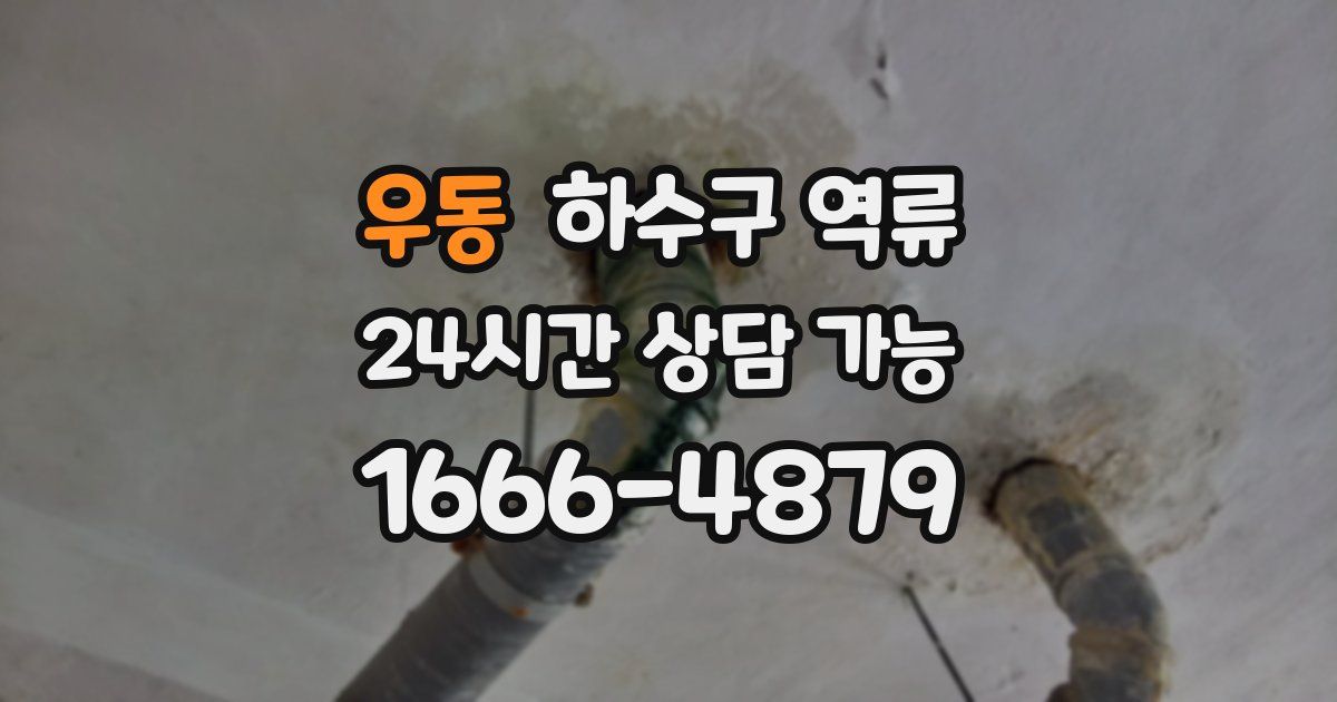 우동 하수구 역류