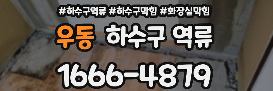 우동 하수구 역류