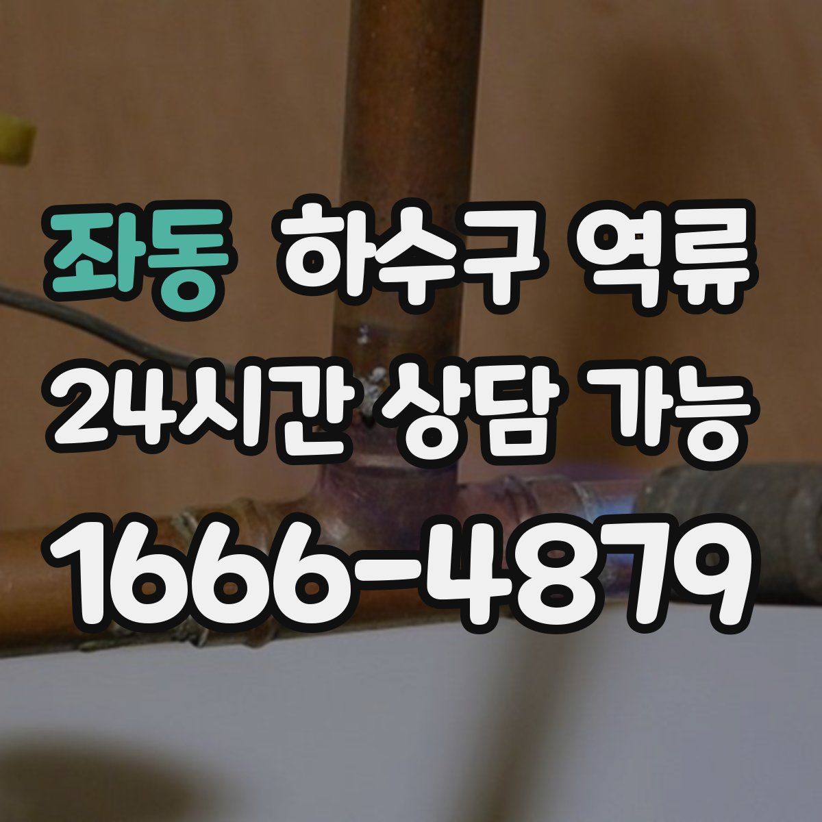 좌동 하수구 역류