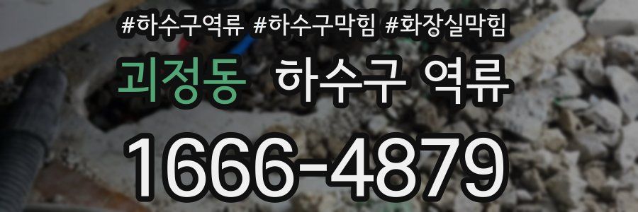 괴정동 하수구 역류