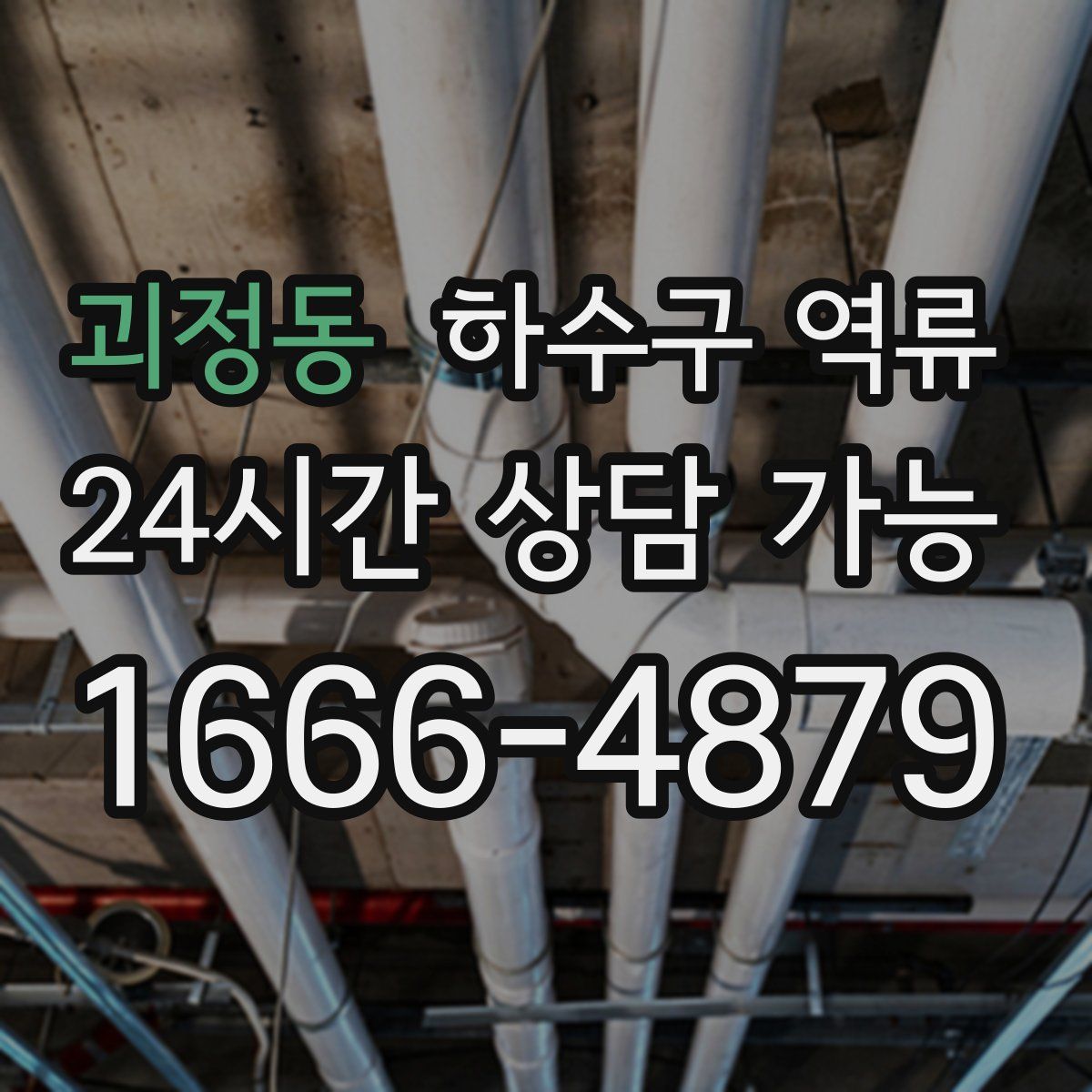 괴정동 하수구 역류