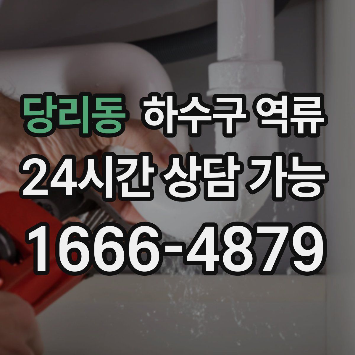 당리동 하수구 역류