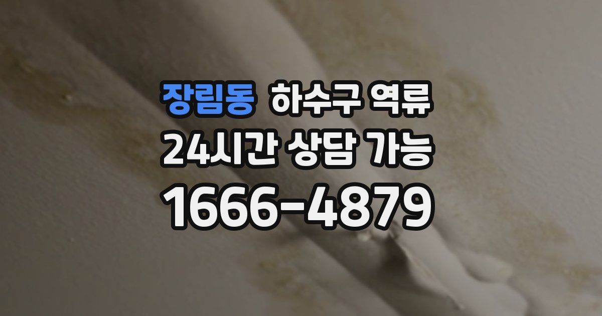 장림동 하수구 역류