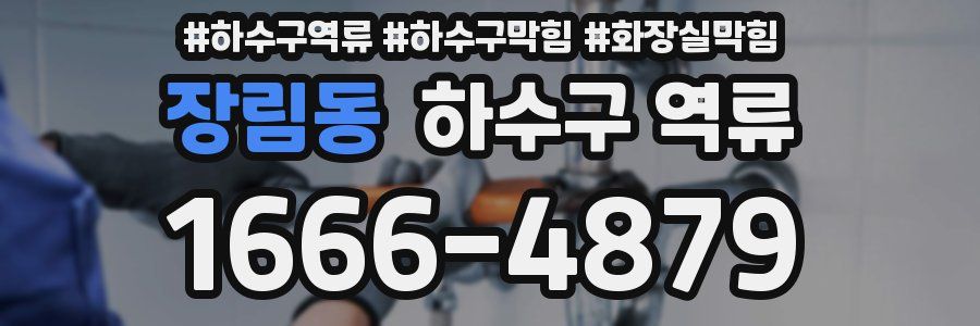 장림동 하수구 역류