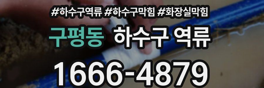 구평동 하수구 역류