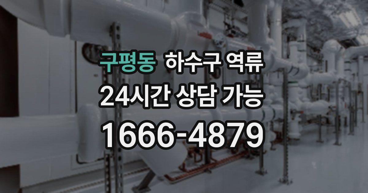 구평동 하수구 역류