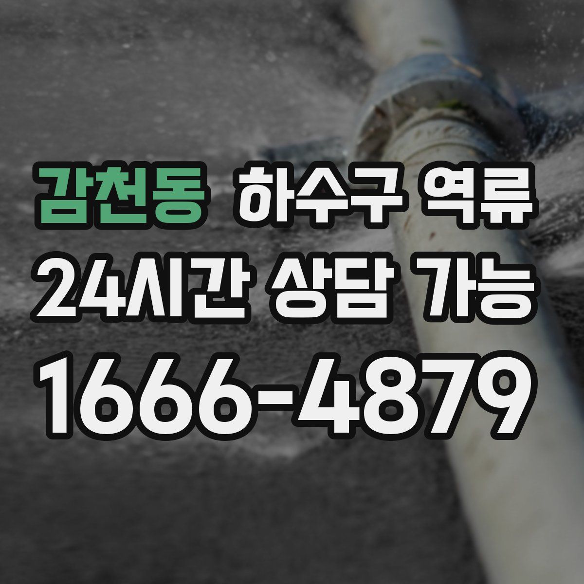 감천동 하수구 역류