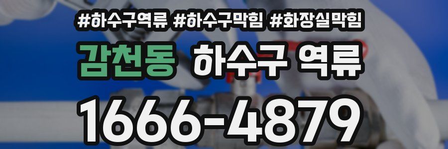 감천동 하수구 역류