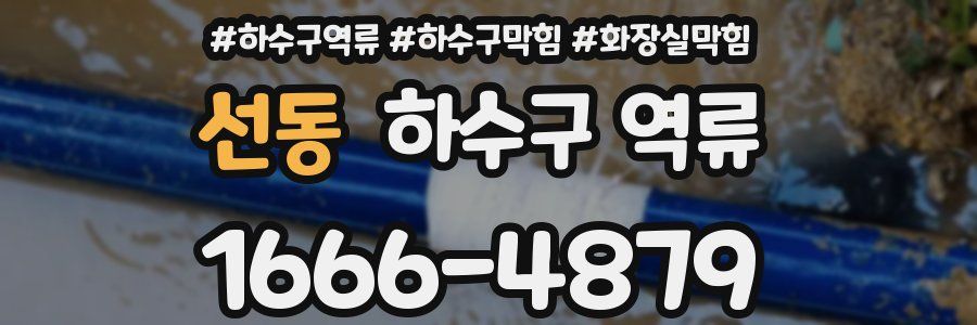 선동 하수구 역류