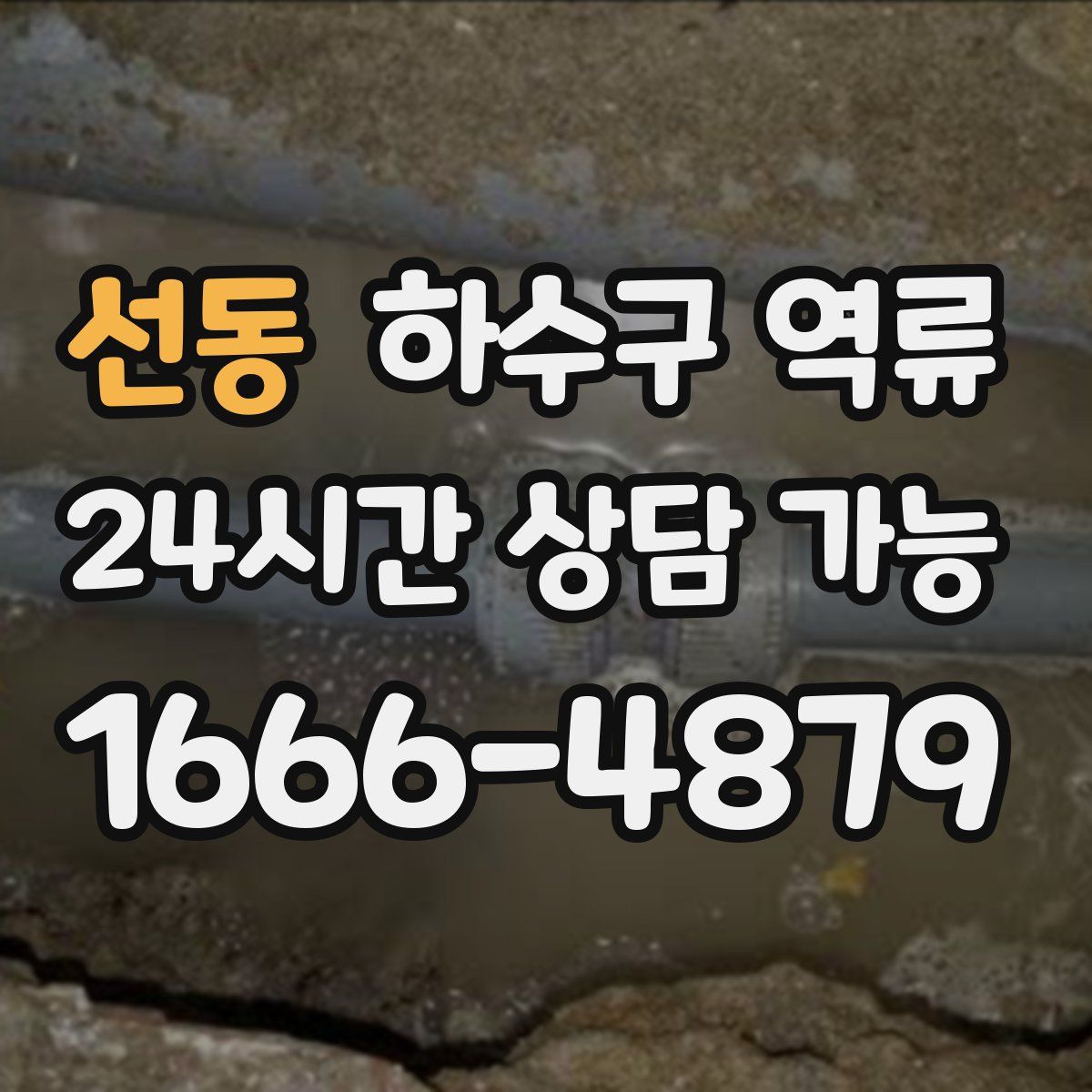 선동 하수구 역류