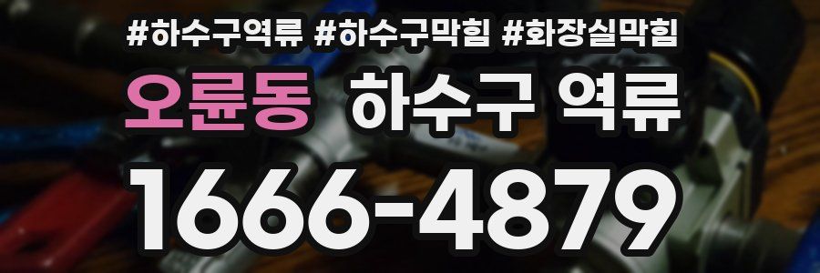 오륜동 하수구 역류