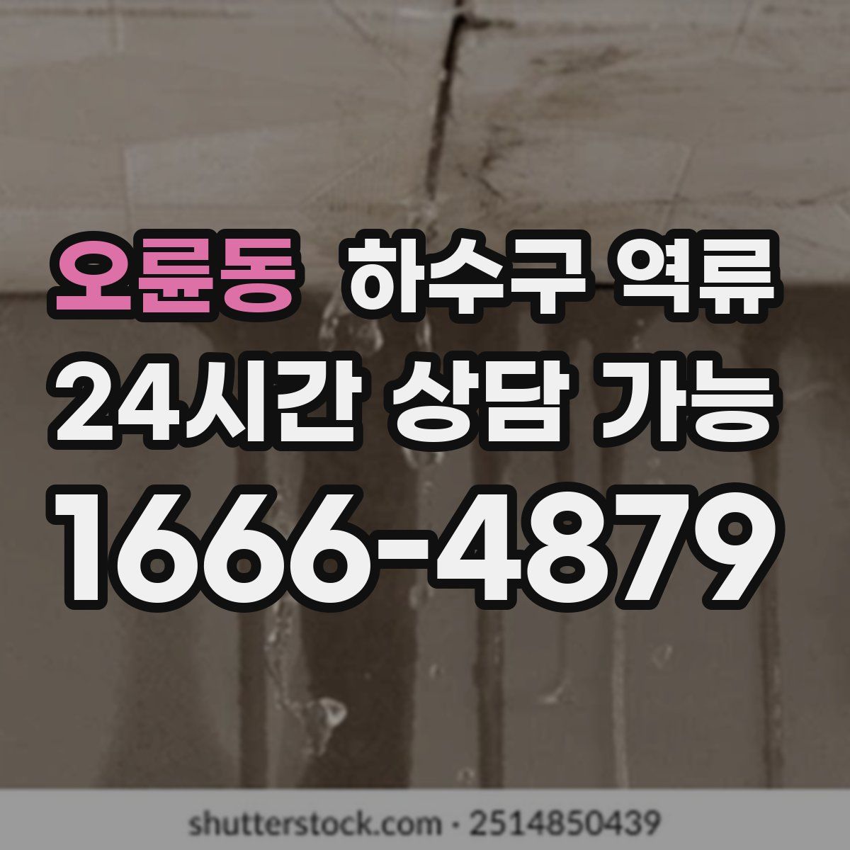 오륜동 하수구 역류