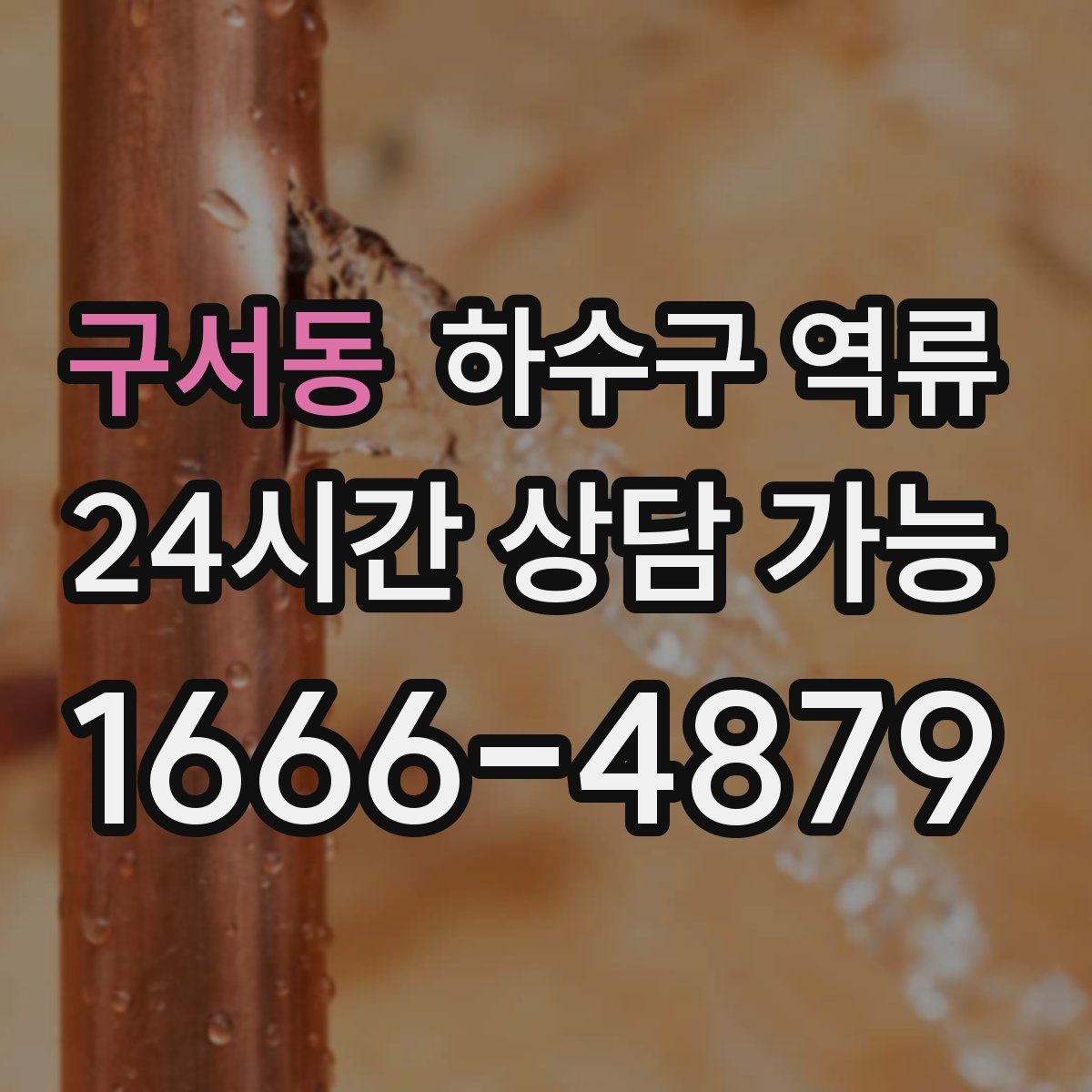 구서동 하수구 역류