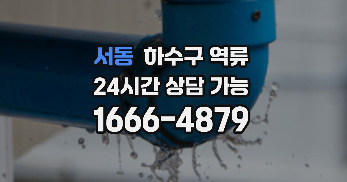 서동 하수구 역류