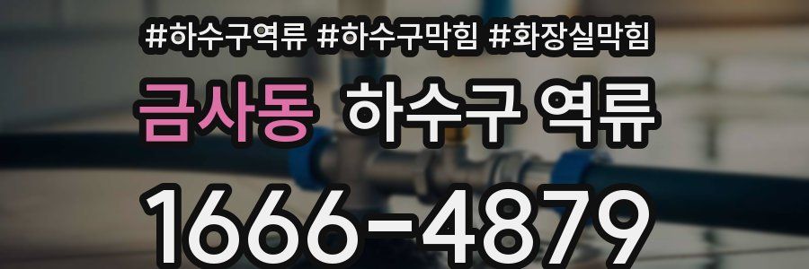 금사동 하수구 역류