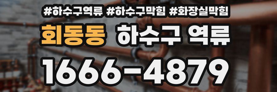 회동동 하수구 역류