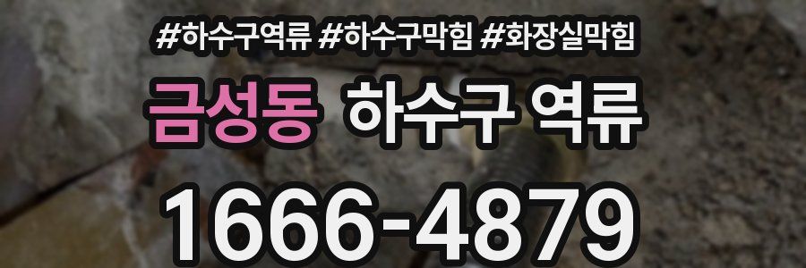 금성동 하수구 역류