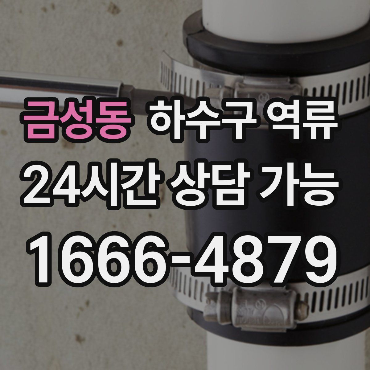 금성동 하수구 역류