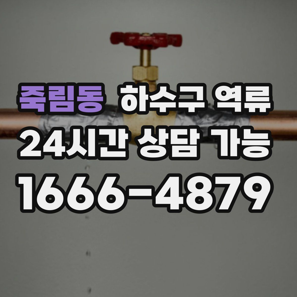 죽림동 하수구 역류