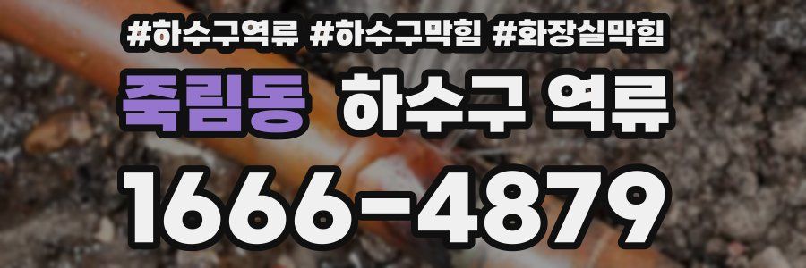 죽림동 하수구 역류