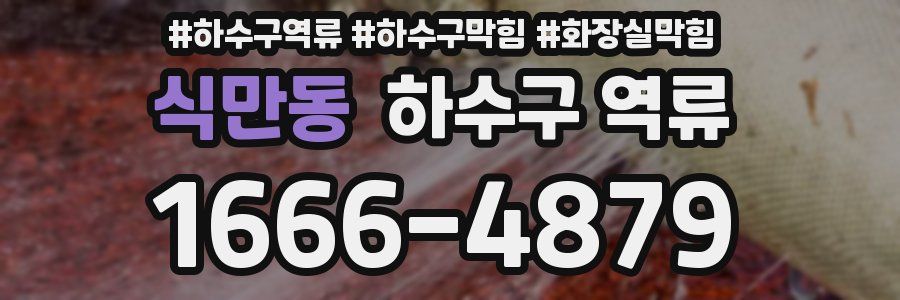 식만동 하수구 역류