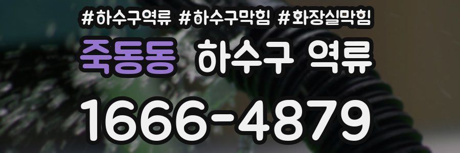 죽동동 하수구 역류