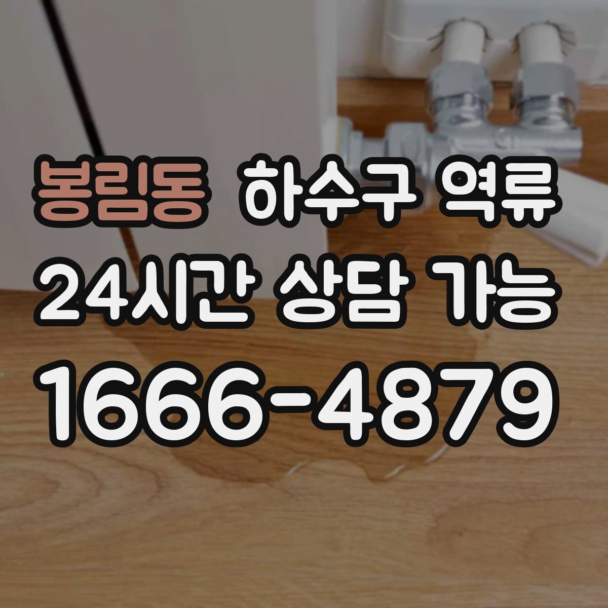 봉림동 하수구 역류