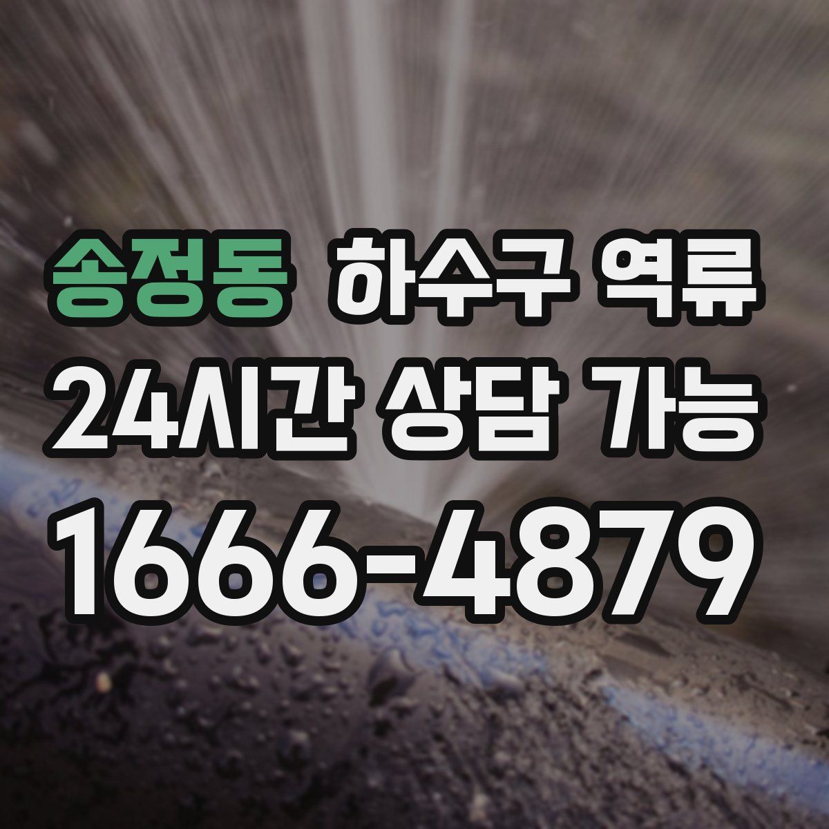 송정동 하수구 역류