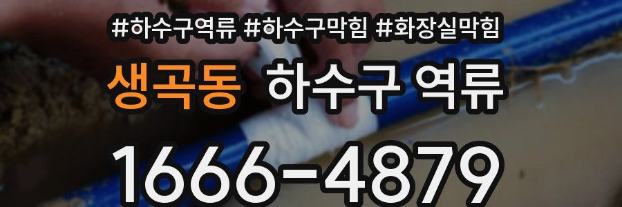 생곡동 하수구 역류