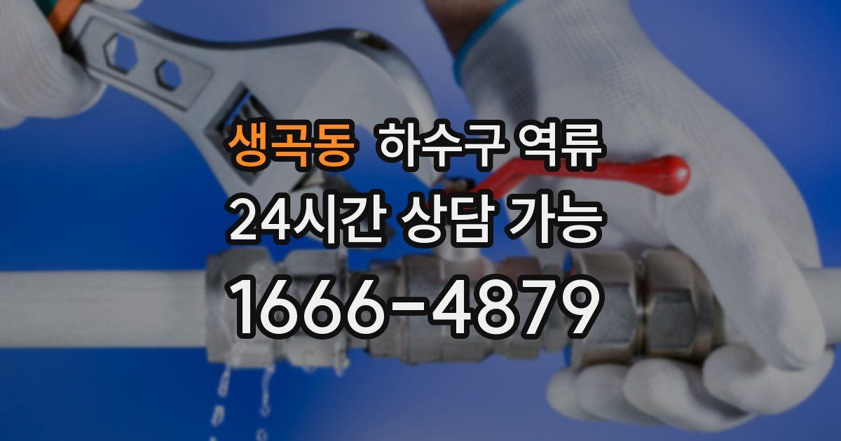 생곡동 하수구 역류