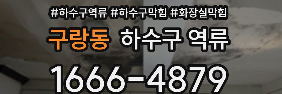 구랑동 하수구 역류