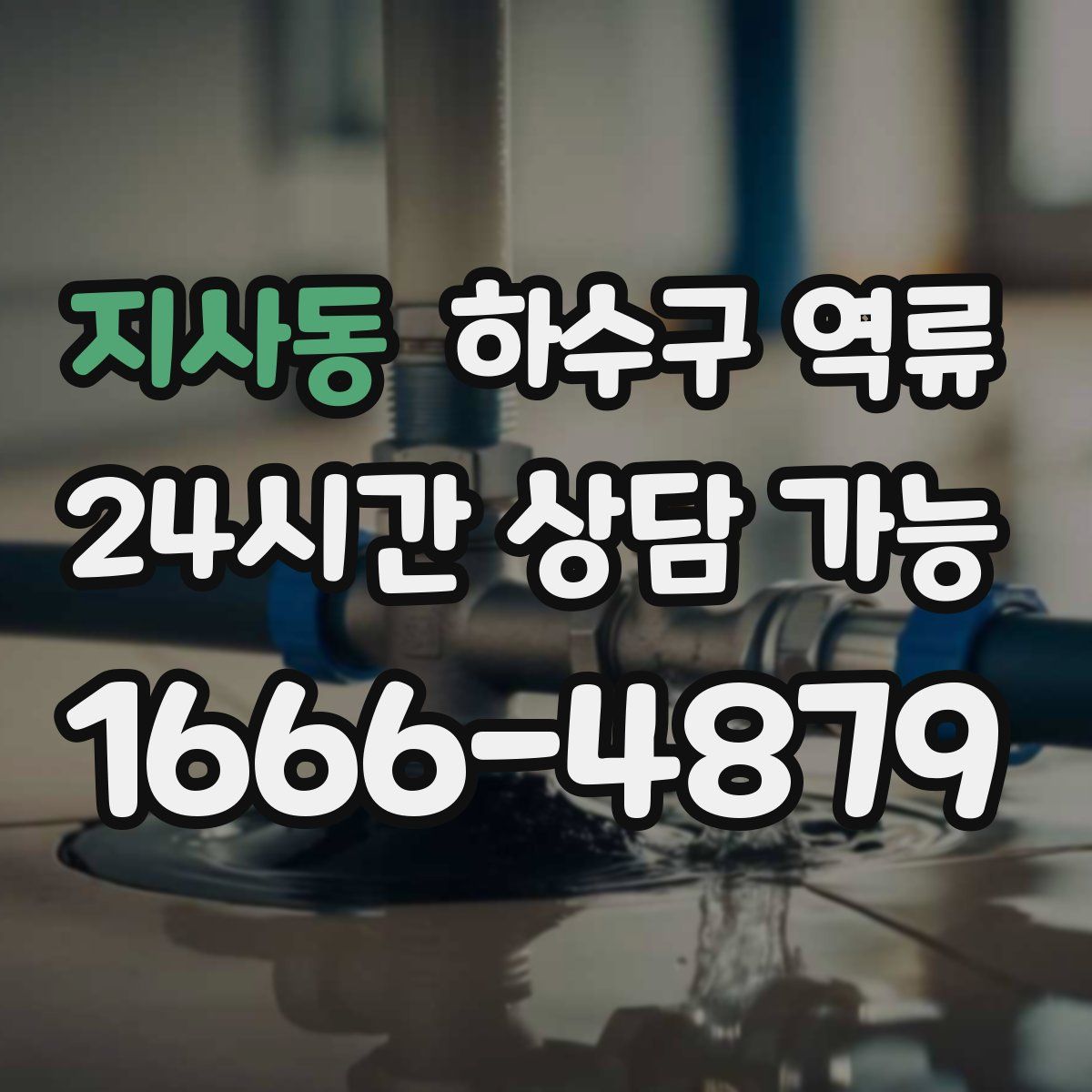 지사동 하수구 역류