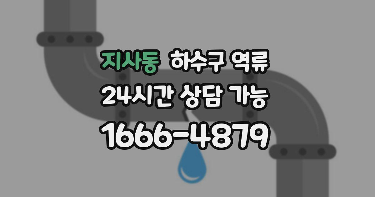 지사동 하수구 역류