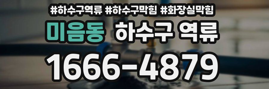미음동 하수구 역류