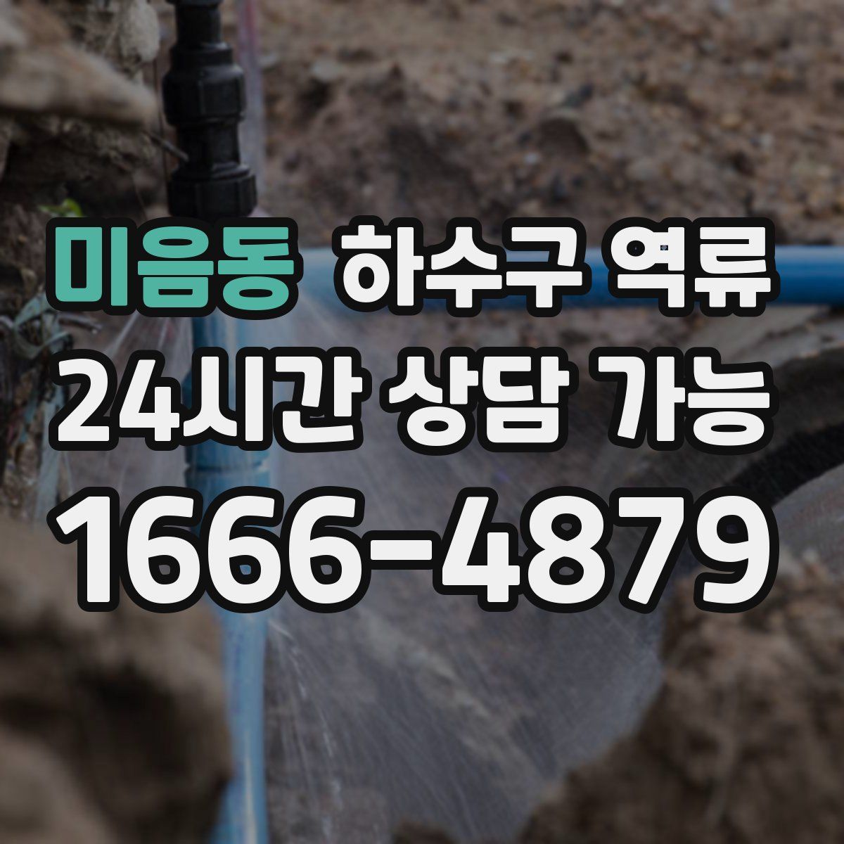 미음동 하수구 역류