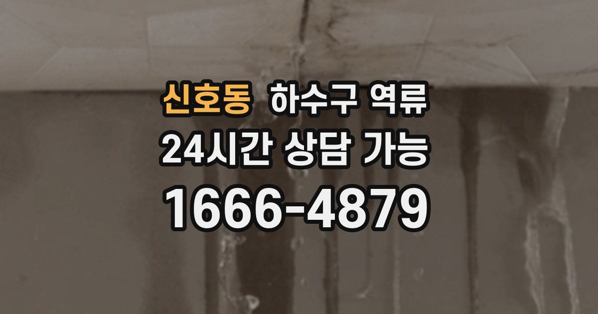 신호동 하수구 역류