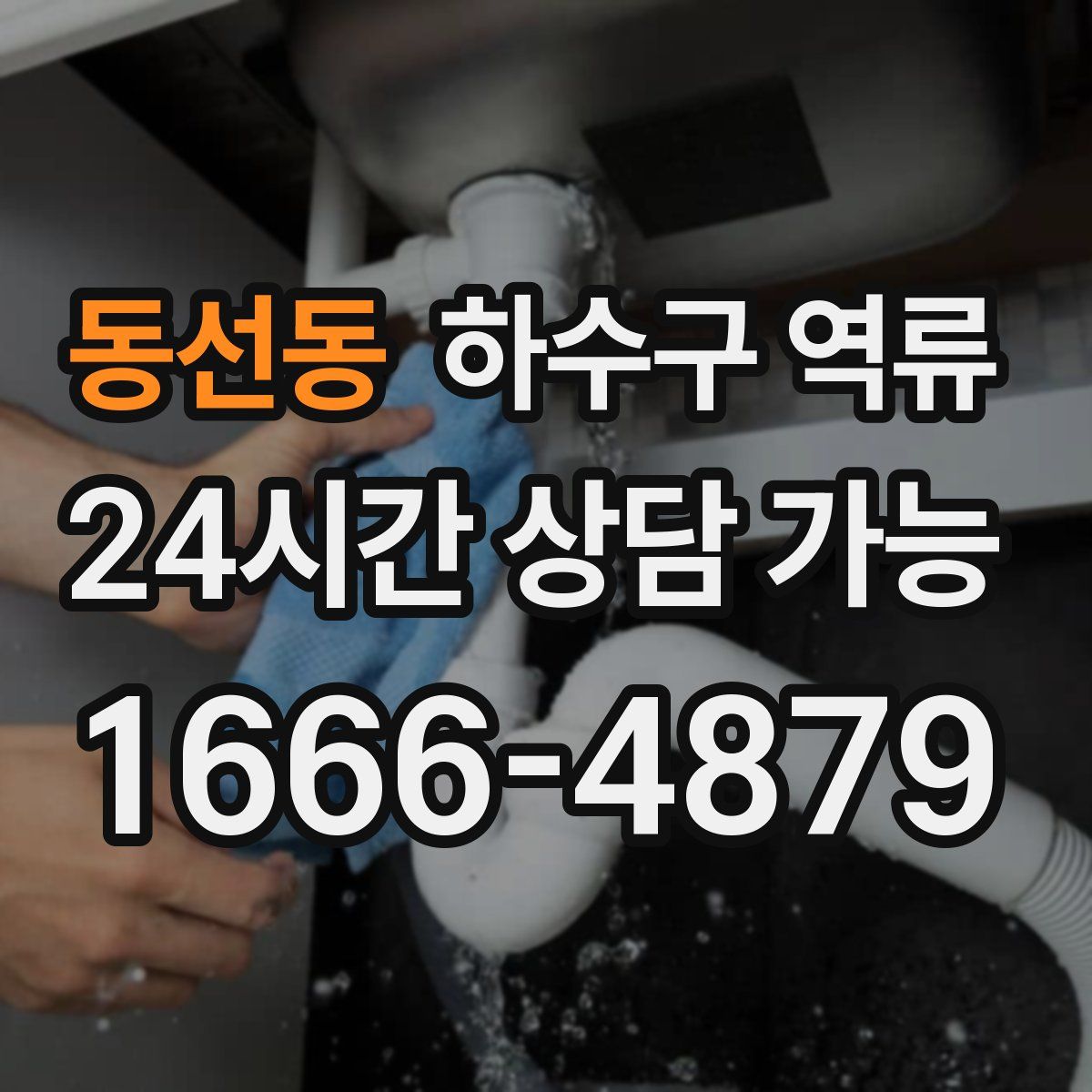 동선동 하수구 역류