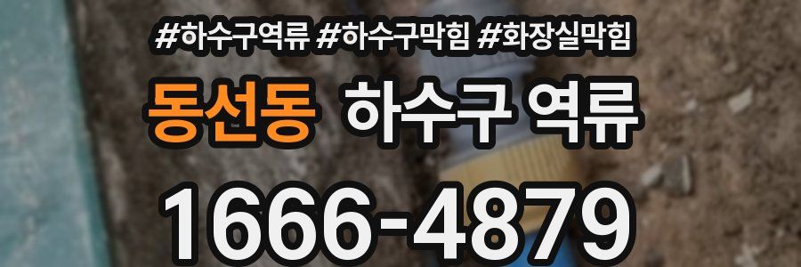 동선동 하수구 역류