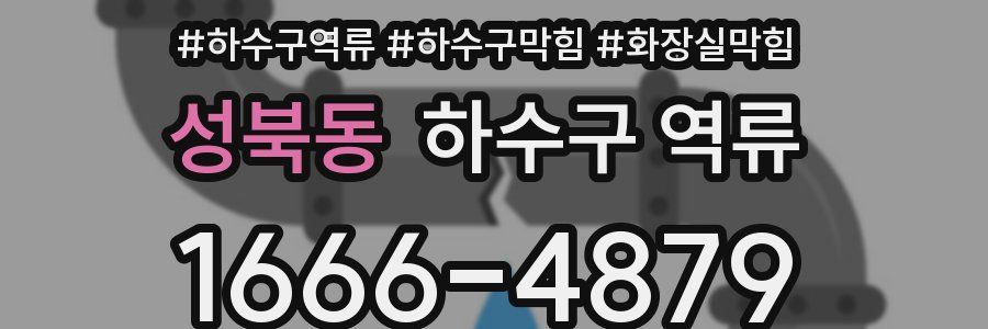 성북동 하수구 역류