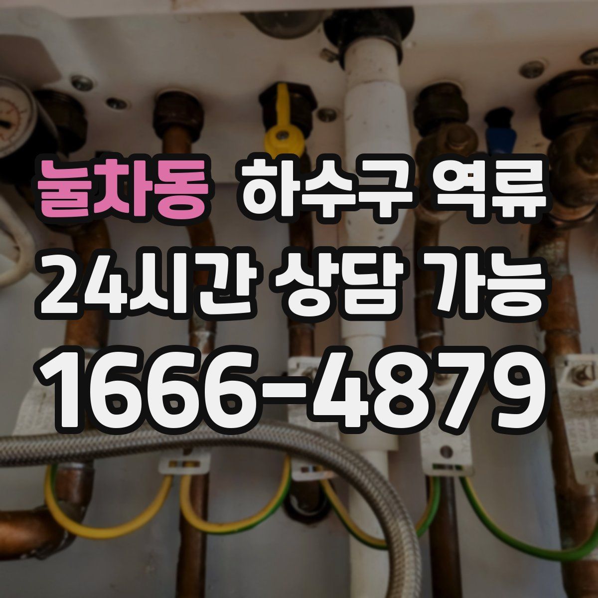 눌차동 하수구 역류