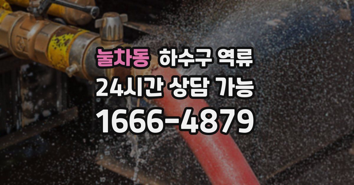 눌차동 하수구 역류