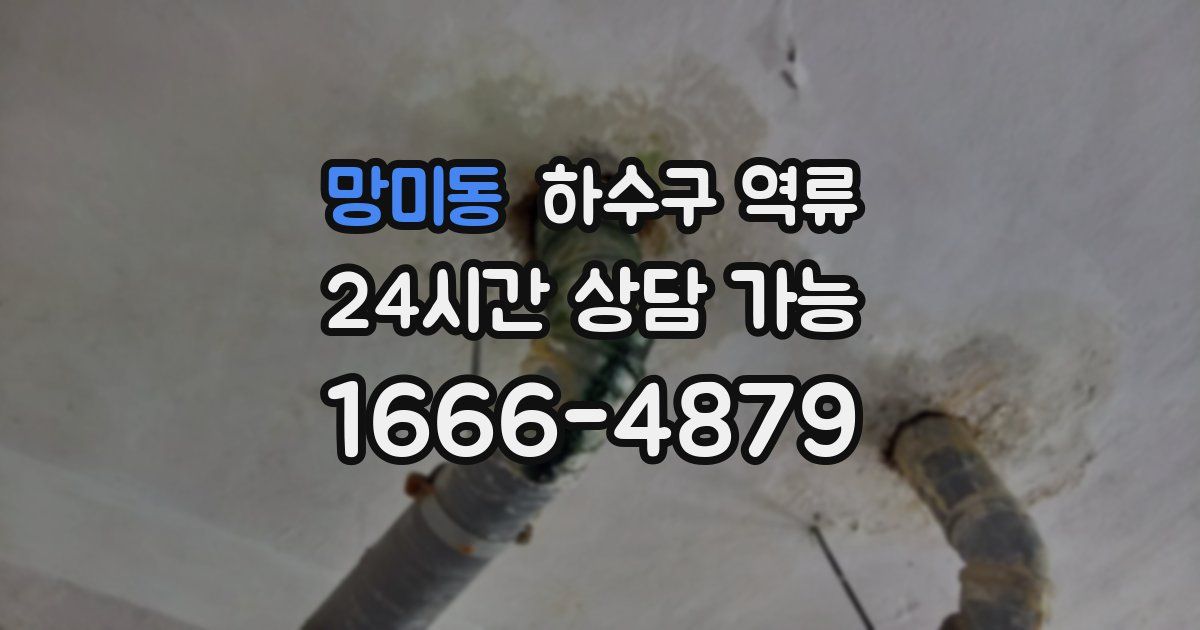 망미동 하수구 역류