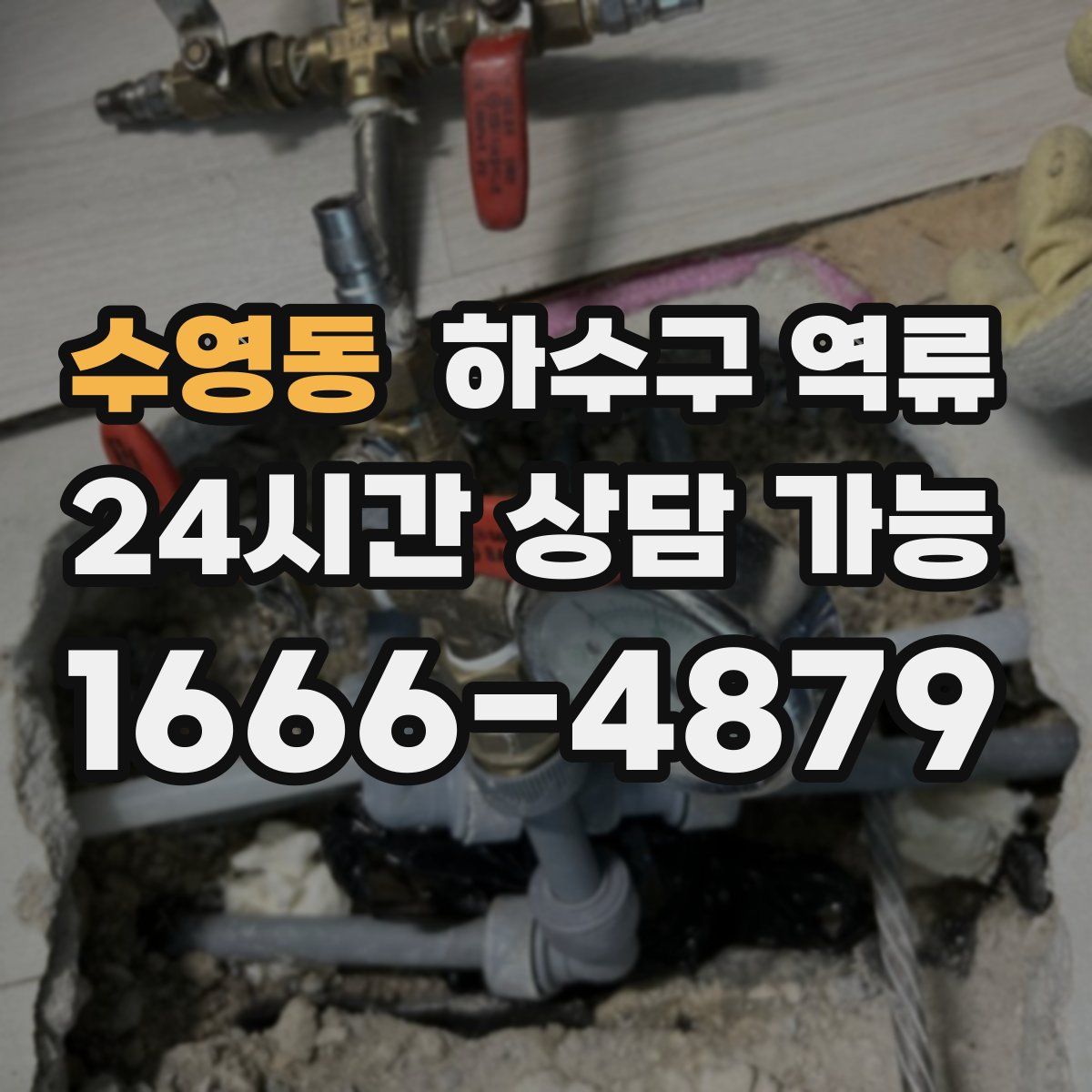 수영동 하수구 역류