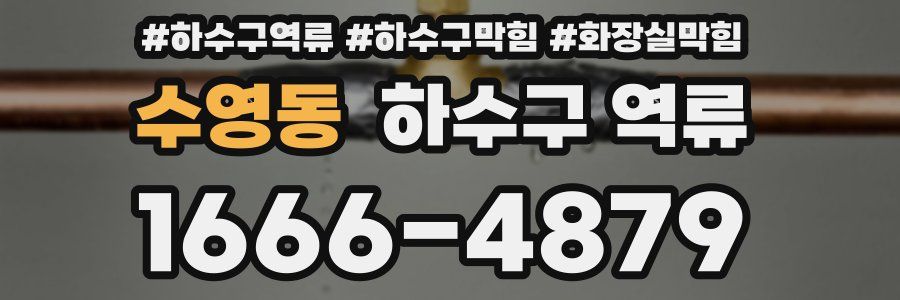 수영동 하수구 역류