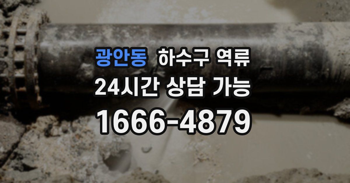 광안동 하수구 역류