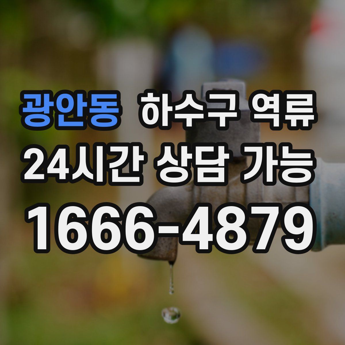 광안동 하수구 역류