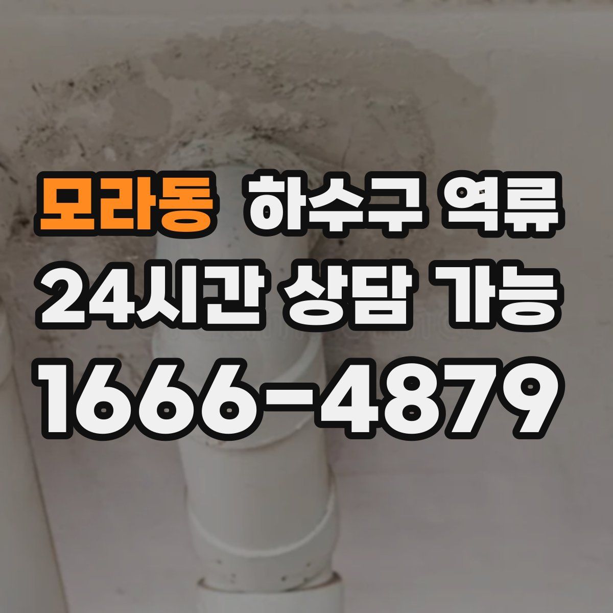 모라동 하수구 역류