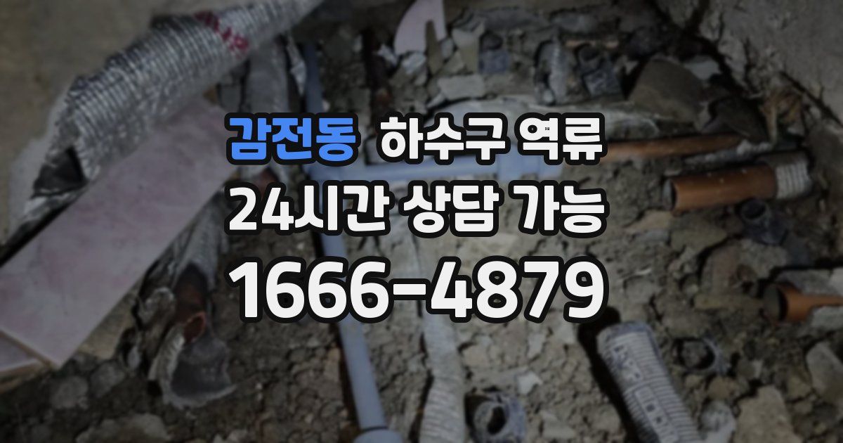 감전동 하수구 역류